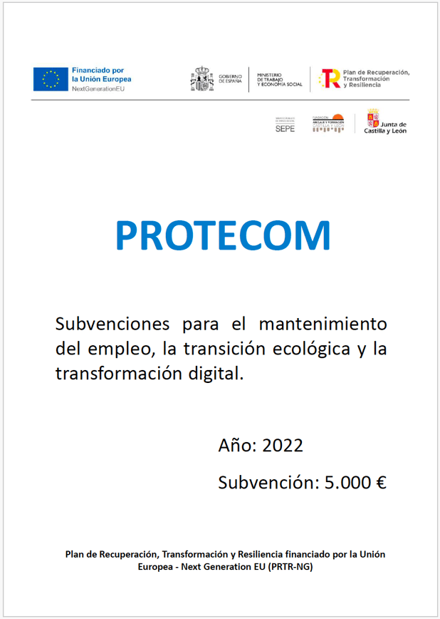 Subvención concedida (PROTECOM)